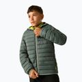 Детско ватирано яке REGATTA Lofthouse dark forest green/wild lime 4