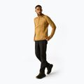 Мъжки поларен суитшърт REGATTA Yonder II wood brown 2