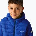 Детско пухено яке REGATTA Hooded Marizion olympian blue/aviator blue 6