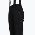 Дамски скиорски панталони Dare 2b Effused III Pant black 3