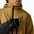 Мъжко скиорско яке Dare2B Halfpipe IV Jacket wood brown/black 5