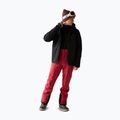 Мъжко скиорско яке Dare2B Eagle IV Jacket black 2