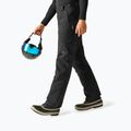 Мъжки скиорски панталони Dare 2b Baseplate Insulated Pant black 4