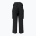 Мъжки скиорски панталони Dare 2b Baseplate Insulated Pant black 11