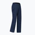 Мъжки скиорски панталони Dare 2b Baseplate Insulated Pant navy 11