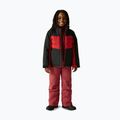 Детско скиорско яке Dare 2b Cheery black/danger red 2