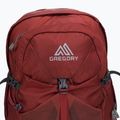 Gregory Citro 30 l brick red мъжка туристическа раница 3