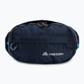 Gregory Nano Waistpack морско синьо 126861 3