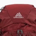 Gregory Baltoro 65 l M brick red мъжка раница за трекинг 3