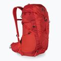 Мъжка туристическа раница Gregory Miko 30 l червена 145277 3