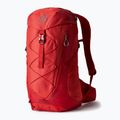 Мъжка туристическа раница Gregory Miko 30 l червена 145277 6