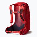 Мъжка туристическа раница Gregory Miko 30 l червена 145277 7