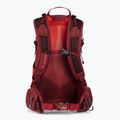 Дамска туристическа раница Gregory Maya 15 l червена 145278 3