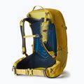 Дамска туристическа раница Gregory Juno 30 l mineral yellow 2