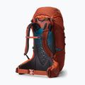 Детска туристическа раница Gregory Wander 50 l Red Rock 2