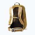 Туристическа раница Gregory Arrio 20 RC amber haze 2