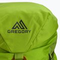 Раница за катерене Gregory Alpinisto 35 l зелена 02J*04041 5