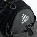 Gregory туристическа раница Miwok 12 l сива 111479 4
