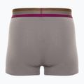 Мъжки боксерки CR7 Basic Trunk 3 чифта 704 multicolour 5