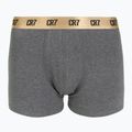 Мъжки боксерки CR7 Basic Trunk 6 pairs multicolour 4
