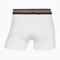 Мъжки боксерки CR7 Fashion Trunk 5 чифта multicolour 10