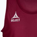 Младежки футболен маркер SELECT Basic maroon 6841002997 3