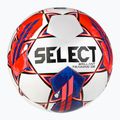 SELECT Brillant Training DB v23 120069 размер футбол 2