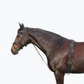 Кожен кон chambon York black 180202