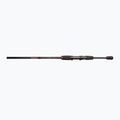 Спининг въдица DRAGON Fishing Express Spinn 25