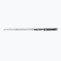 Спининг въдица DRAGON Fishing G.P.Concept Jerk 80H 
