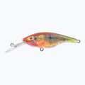 Wobler FishTank Charlie Parrot PRD-CH5F-PR