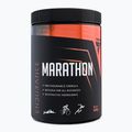 Trec Endu Marathon преди тренировка 400g горски плодове TRE/915