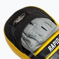 Треньорски лапи за тренировка StormCloud Rapid black/yelow 5