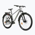 Планински велосипед KROSS Hexagon 4.0 EQ 29“ silver/green/shiny 2