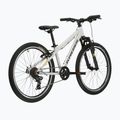 Детски велосипед KROSS Dust Jr 1.0 gray/black/gloss 3