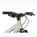 Детски велосипед KROSS Dust Jr 1.0 gray/black/gloss 4