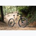 Дамски планински велосипед KROSS Level 6.0 beige/brown/glossy 13