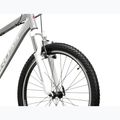 Дамски планински велосипед KROSS Lea 1.0 silver/white/gloss 5
