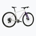 Гравел велосипед KROSS Esker 1.0 FL grey/purple/gloss 3