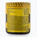 Предварителна тренировка Real Pharm Unreal 360g касис 701510 3