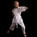 Детски колан Bushido karategi ARK-3102 бял 15
