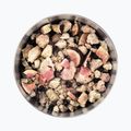Лиофилизирана храна LYOFOOD Кокосови овесени ядки с горски плодове  смокини и семена от чиа LF-7616 4