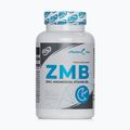 EL ZMB 6PAK B6+магнезий+цинк 90 таблетки PAK/095