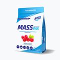 Gainer 6PAK Mass Pak 1000g малина PAK/235