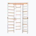 Гимнастическа стълба Rinagym SPR Corner white