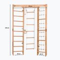Гимнастическа стълба Rinagym SPR Corner natural 2