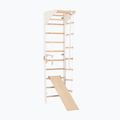 Гимнастическа стълба RINAGYM SPR C+SLIDE 2