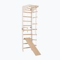 Гимнастическа стълба RINAGYM SPR C+SLIDE 4