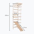 Гимнастическа стълба RINAGYM SPR C+SLIDE 6