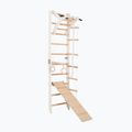 Гимнастическа стълба RINAGYM SPR A+SLIDE 3